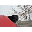 Spoiler CAP passend für SEAT LEON MK2 MS DESIGN Carbon Look