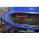 Front Grill Ford Focus ST / ST-Line Mk4 Carbon Look