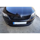 Front Grill Skoda Rapid