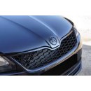 Front Grill Skoda Rapid