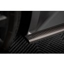 Carbon Fiber Seitenschweller Audi RS6 C8 / RS7 C8