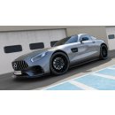 Seitenschweller Ansatz für Mercedes-AMG GT / GT S...